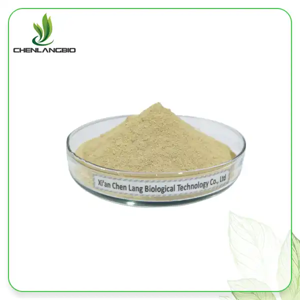 Wheat Germ Extract Powder